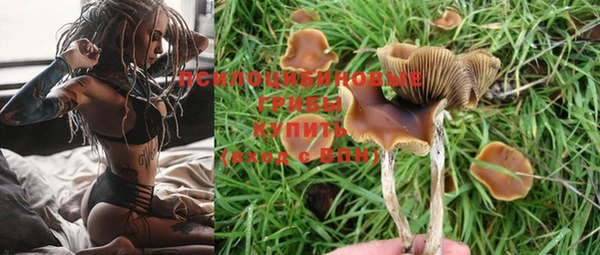 экстази Белокуриха