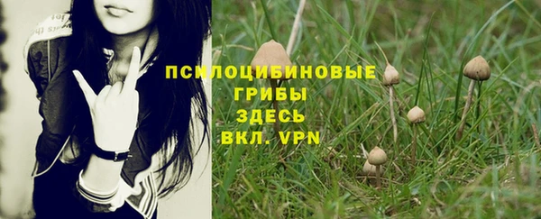 кристаллы Белоозёрский