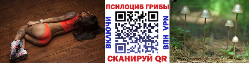 где купить наркотик  Короча  Галлюциногенные грибы GOLDEN TEACHER 